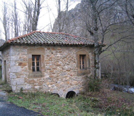 Las seis noticias agrarias de la semana – 11/07/2025