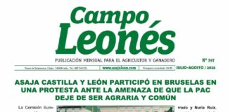 Campo leonés julio y agosto – 2025
