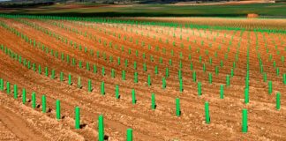 Las seis noticias agrarias de la semana – 04/07/2025
