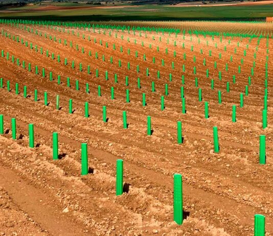 Las seis noticias agrarias de la semana – 04/07/2025