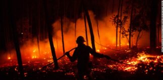 ASAJA valora el plan de apoyo anunciado por Mañueco y pide ayudas directas a ganaderos y agricultores afectados por los incendios