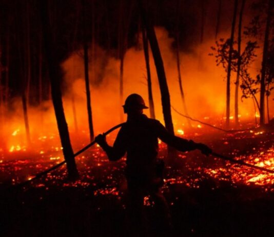 ASAJA valora el plan de apoyo anunciado por Mañueco y pide ayudas directas a ganaderos y agricultores afectados por los incendios