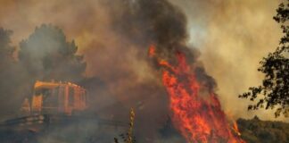 Ayuda para la reposición de vallados ganaderos dañados por los incendios