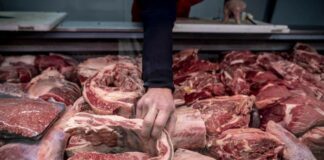 Las seis noticias agrarias de la semana – 05/09/2025