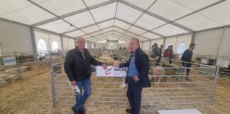 Las seis noticias agrarias de la semana – 24/10/2025