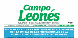 Campo leonés – octubre 2025