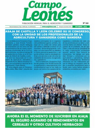 Campo leonés – octubre 2025
