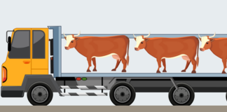 Las seis noticias agrarias de la semana – 28/11/2025