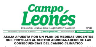 Campo leonés – noviembre 2025