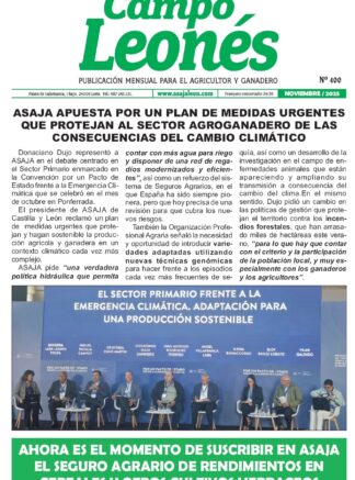 Campo leonés – noviembre 2025