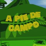 “A PIE DEL CAMPO”