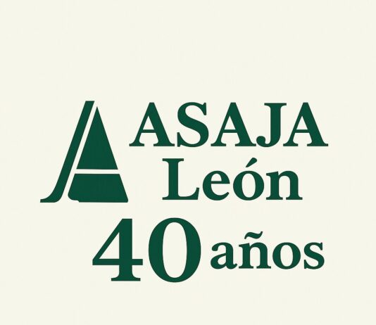 Cuarenta años unidos