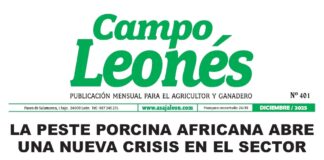 Campo leonés – diciembre 2025