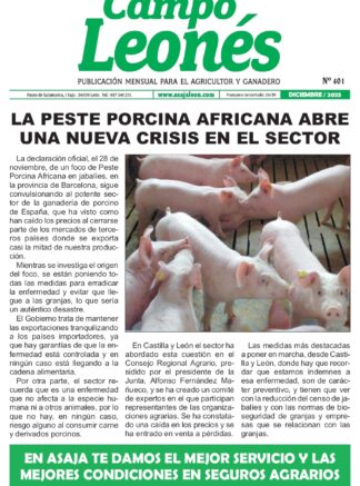 Campo leonés – diciembre 2025