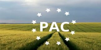 León recibió, en el ejercicio financiero de 2025, el mayor apoyo de la PAC, en ayudas directas, desde que existen estos fondos