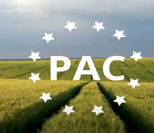 León recibió, en el ejercicio financiero de 2025, el mayor apoyo de la PAC, en ayudas directas, desde que existen estos fondos