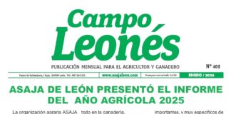 Campo leonés – enero 2026