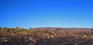 ASAJA apoya a la Junta frente a los irresponsables que han recurrido el levantamiento del acotamiento de pastos en montes quemados