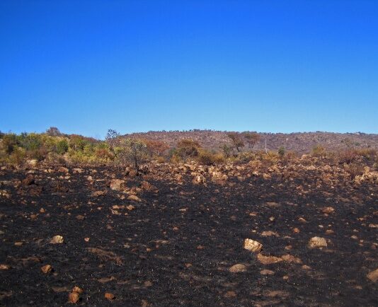 ASAJA apoya a la Junta frente a los irresponsables que han recurrido el levantamiento del acotamiento de pastos en montes quemados
