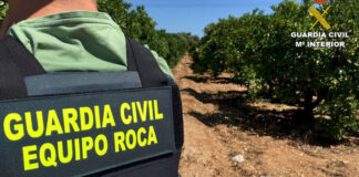 ASAJA Castilla y León valora la ley sobre multirreincidencia, un paso adelante en la protección del campo y el medio rural, y pide al Gobierno una aplicación efectiva