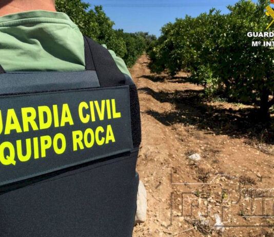 ASAJA Castilla y León valora la ley sobre multirreincidencia, un paso adelante en la protección del campo y el medio rural, y pide al Gobierno una aplicación efectiva
