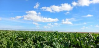 Las seis noticias agrarias de la semana – 03/04/2026