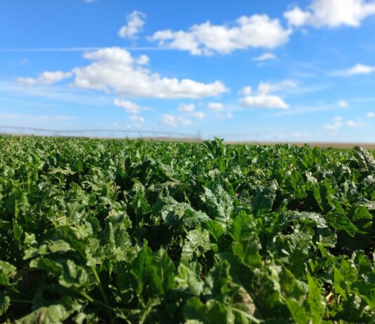 Las seis noticias agrarias de la semana – 03/04/2026