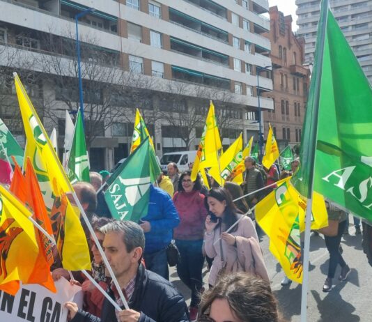 Las organizaciones agrarias de Castilla y León convocan de nuevo actos de protesta por la falta de rentabilidad del sector