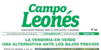 Campo leonés – mayo 2026