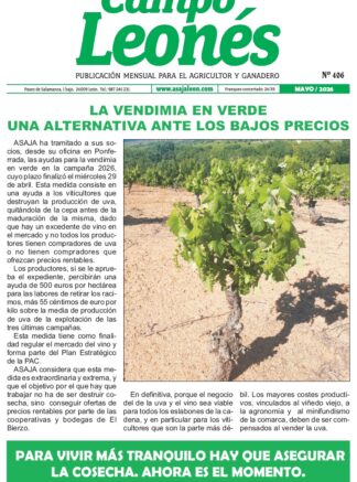 Campo leonés – mayo 2026