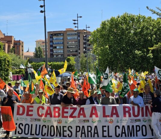 El campo de Castilla y León clama por su futuro ante una nueva cosecha que se saldará con más deudas