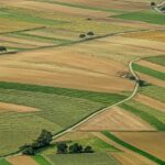 Banco de Tierras