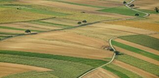 Banco de Tierras