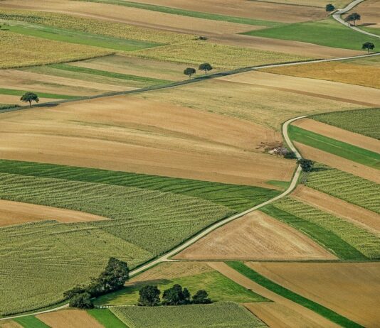 Banco de Tierras