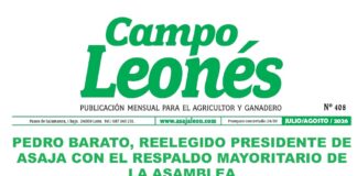Campo leonés – julio y agosto 2026