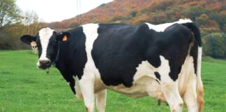 Las seis noticias agrarias de la semana – 17/07/2026