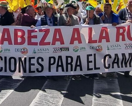 Las organizaciones agrarias de Castilla y León se concentrarán frente a la sede de Presidencia de la Junta por la rentabilidad del sector