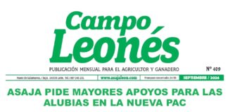 Campo leonés – septiembre 2026