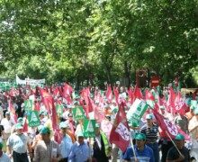 Dignidad del campo - Madrid 19-06-2008