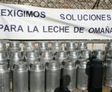 Reparto leche Omaña 2008