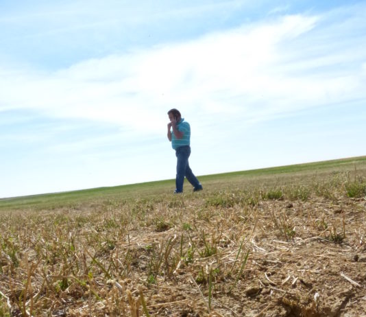 MÁS DE 70.000 HECTÁREAS DE LA PROVINCIA AFECTADAS POR LA PLAGA DE TOPILLO