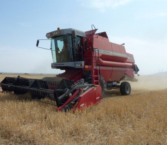 ARRANCA LA COSECHA DE CEREAL CON UN RETRASO DE QUINCE DÍAS Y BUENAS PREVISIONES EN RENDIMIENTOS