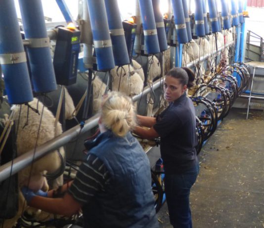 ASAJA celebra una jornada para promover el liderazgo de las mujeres agricultoras y ganaderas