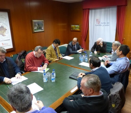 ASAJA PALENCIA EXIGE MEDIAS DE CONTROL DE LA PLAGA DE CONEJOS EN AUTOVÍAS Y VÍAS FÉRREAS