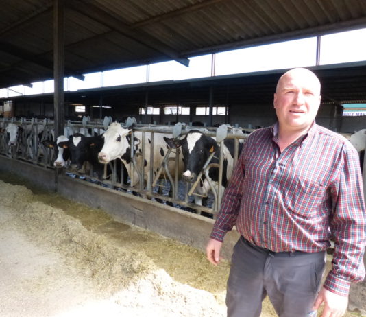 ASAJA, COAG y UPA denuncian la compra de leche por la industria por debajo de los costes de producción