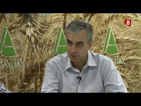 Campo Palentino 29 junio 2017