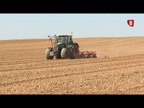 Campo Palentino 18 noviembre 2016