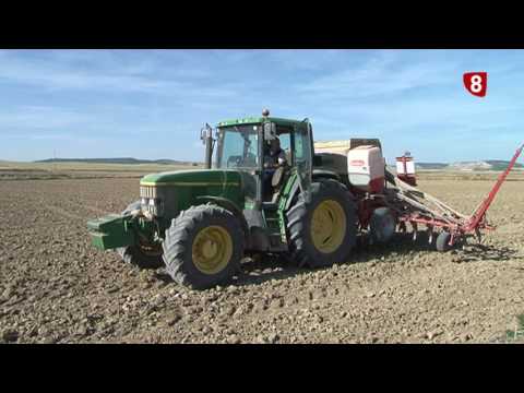 Campo Palentino 3 noviembre 2016