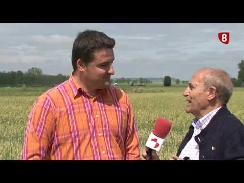 CAMPO PALENTINO 13 junio 2013