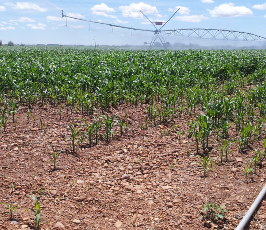 Un año para olvidar Riego del mariz